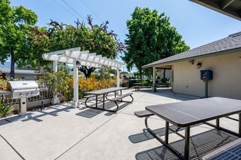 Bbq/picnic area